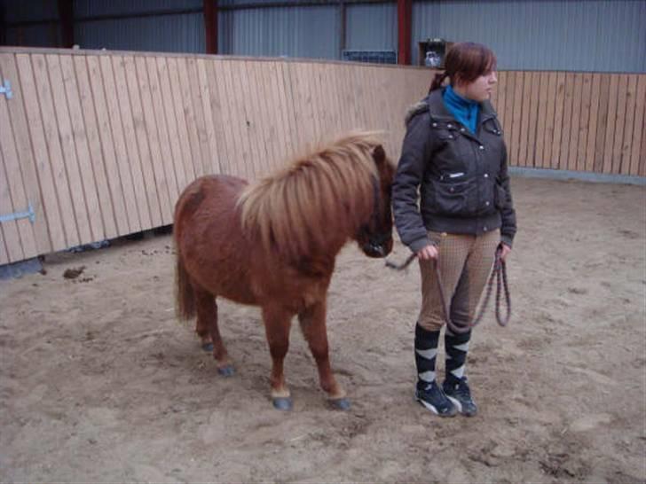 Anden særlig race Ferrari *Solgt* billede 2