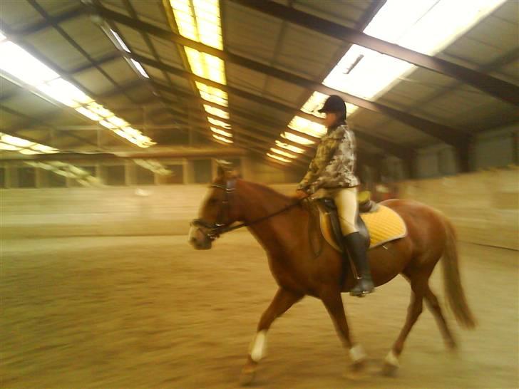 DSP Dublin  billede 15