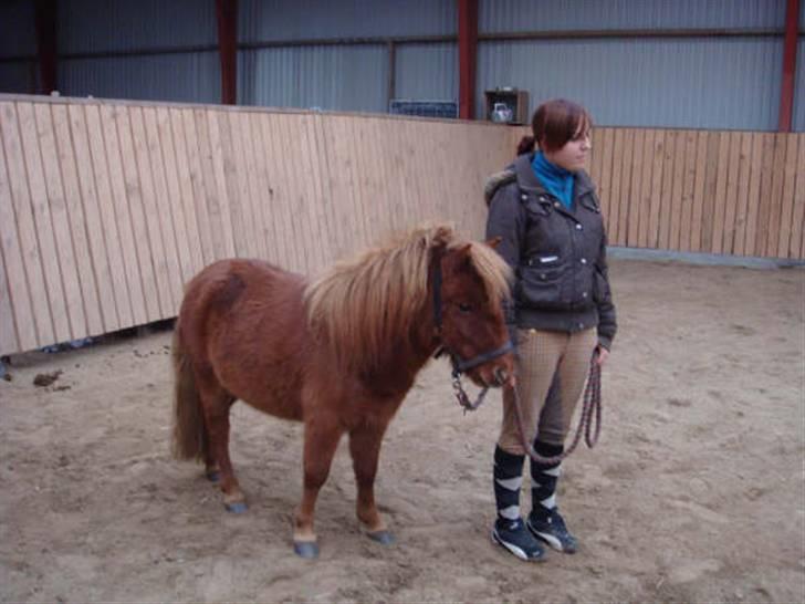 Anden særlig race Ferrari *Solgt* billede 3