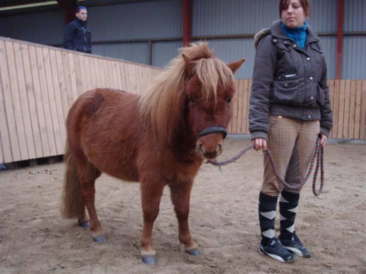 Anden særlig race Ferrari *Solgt* billede 4