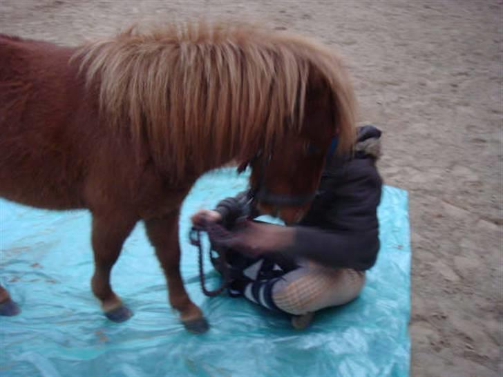 Anden særlig race Ferrari *Solgt* billede 5