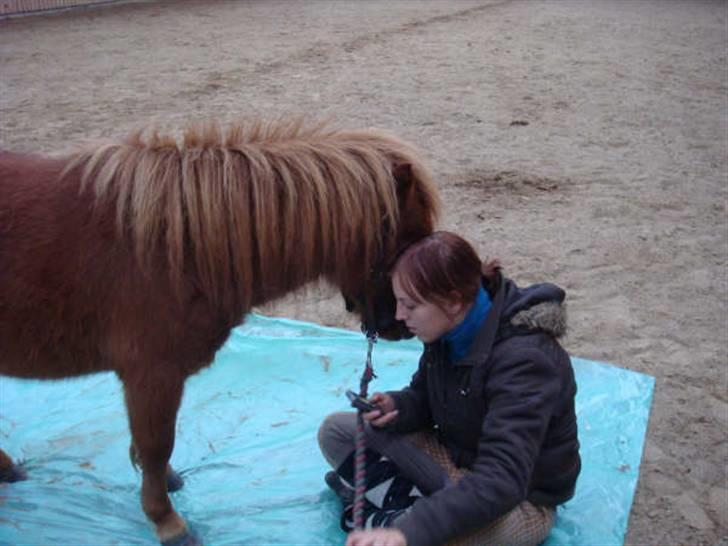 Anden særlig race Ferrari *Solgt* billede 6