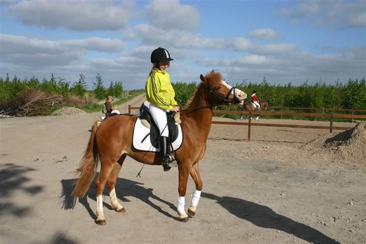 Anden særlig race Miss Unique *solgt* billede 1