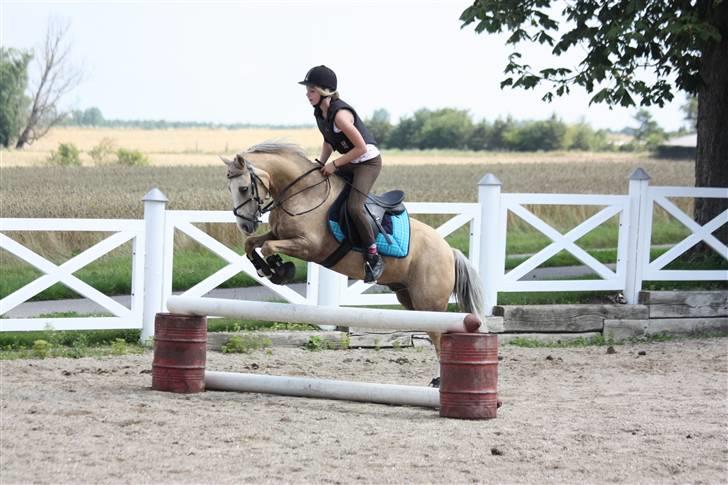 Irsk Sportspony Triple Gold(:  - Spring! haha xD  billede 8