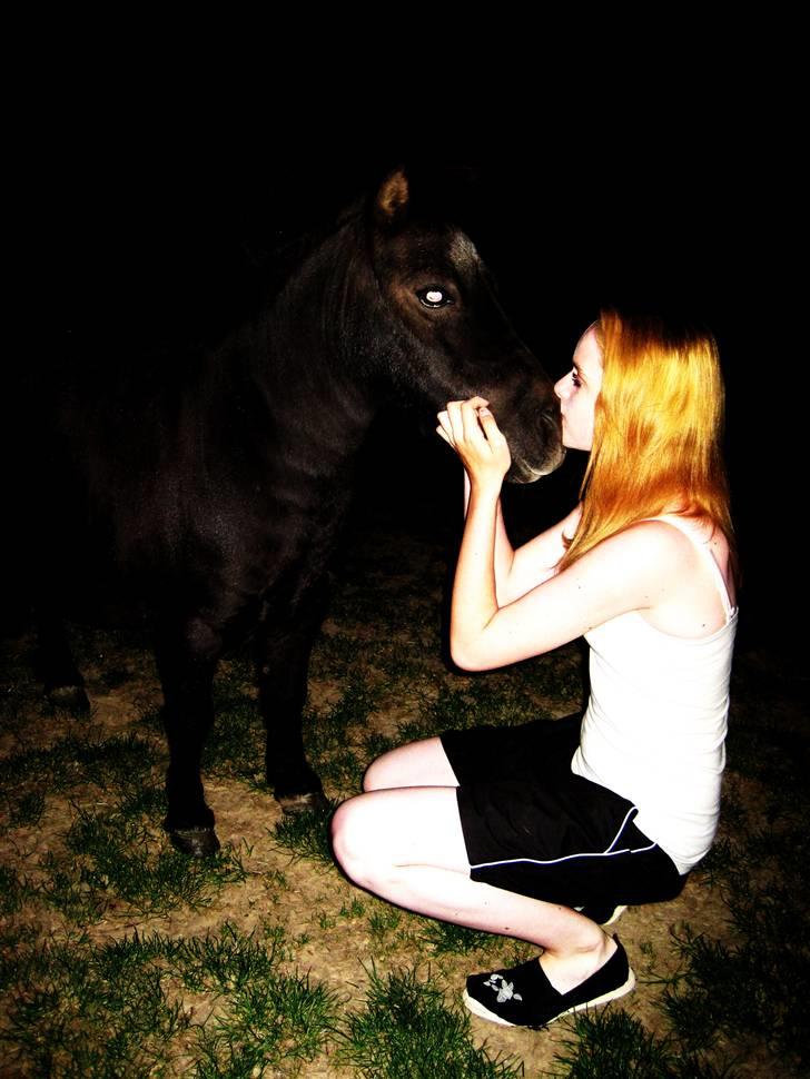 Shetlænder prins<33 R.I.P :'( - miq&mulle<3 han er go til a kysse!<3 ;D  billede 5