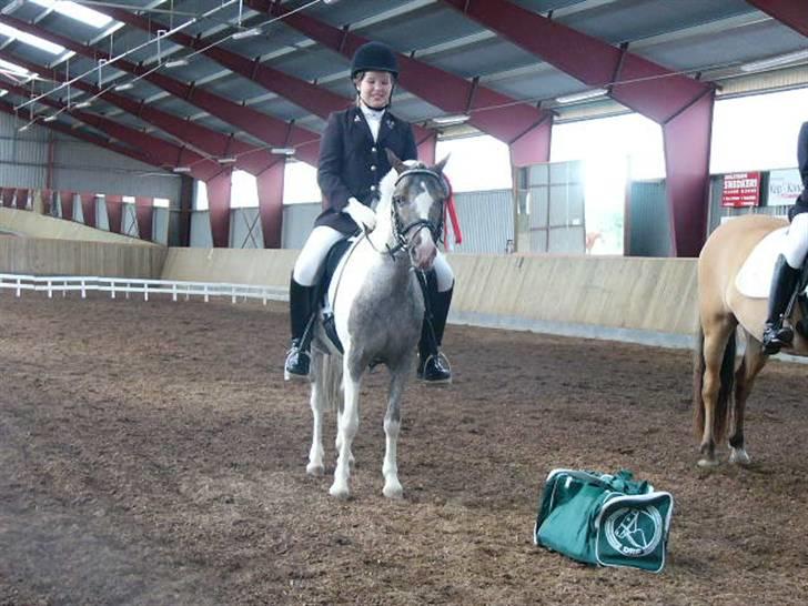 Pinto funny - jeg fik en fin taske i præme i coppen billede 14