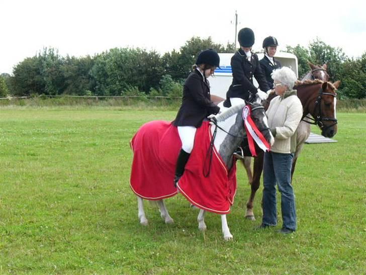 Pinto funny - blev distrikmester 2007 og vi slå 2`erne billede 17