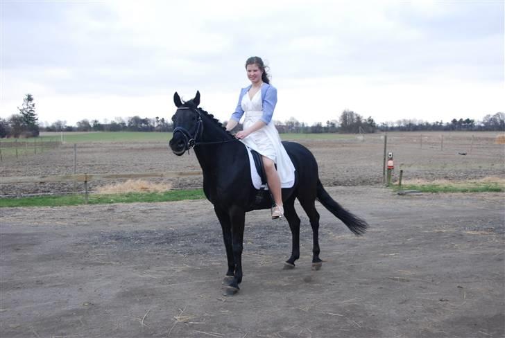 DSP Bethoven af stensnæs B-pony - skulle bare lige have et billed af min skønne pony og mig til min konfirmation XD <3 billede 5