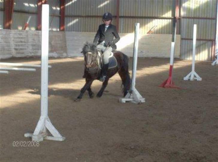 Anden særlig race Buster  - mig og buster til fasterlavnsstævbe på  ØGR billede 12