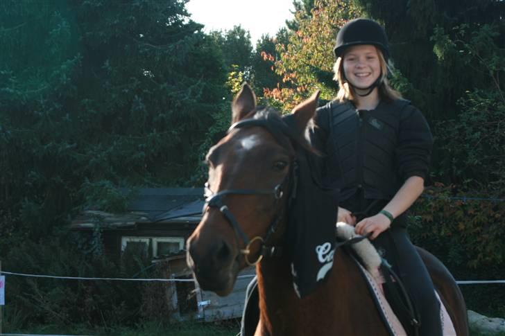 Dansk Varmblod Fru larsen<3 - larsen giver min mor sin taske billede 16