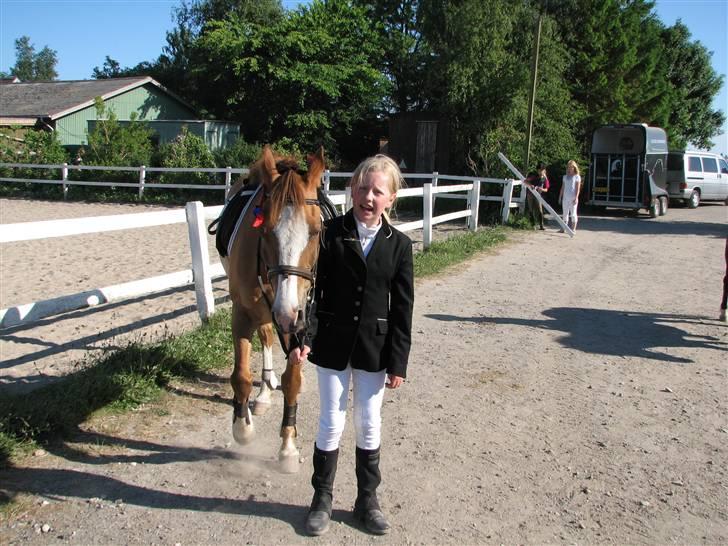 Anden særlig race Shardik *R.I.P* billede 1