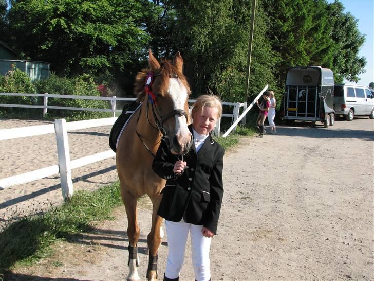 Anden særlig race Shardik *R.I.P* billede 2