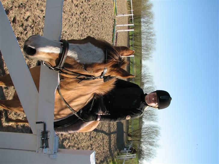 Anden særlig race Shardik *R.I.P* billede 7