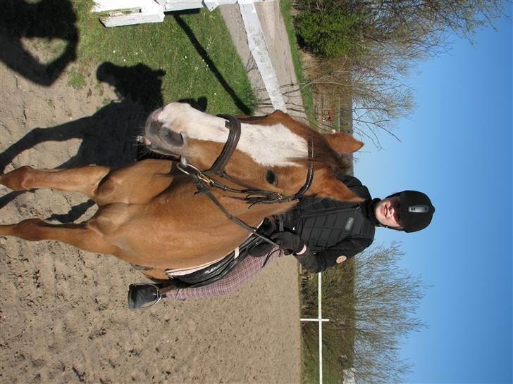 Anden særlig race Shardik *R.I.P* billede 8