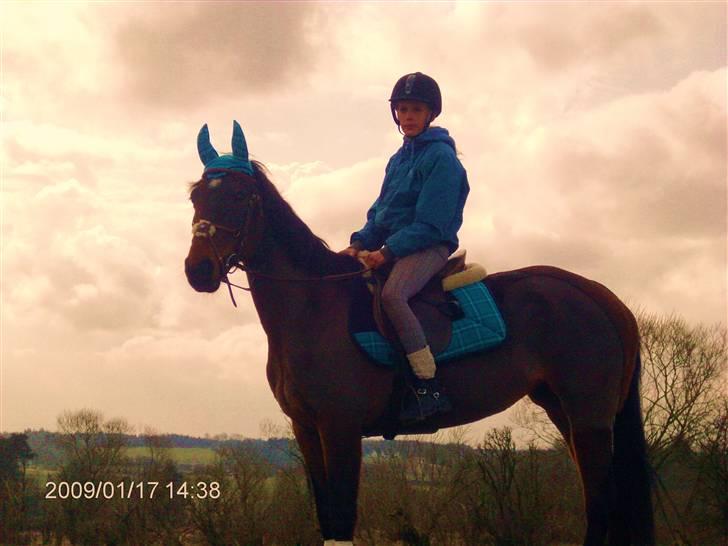 Anden særlig race Bonnie - modeller<3 billede 7