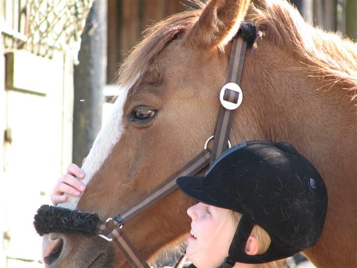 Anden særlig race Shardik *R.I.P* billede 12