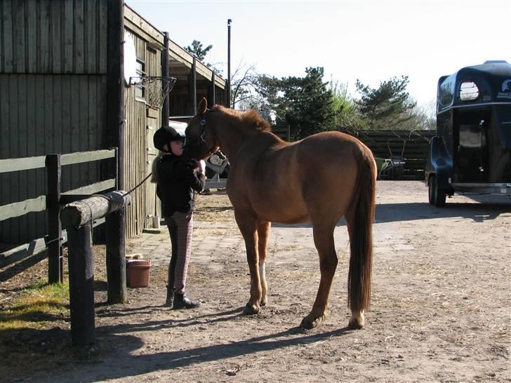 Anden særlig race Shardik *R.I.P* billede 13