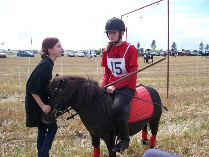 Shetlænder prins<33 R.I.P :'( - miq&prins&camilla <3  til ringridning påe prins<3 blev nr 4 i min klasse ud a 30 ;D  billede 9