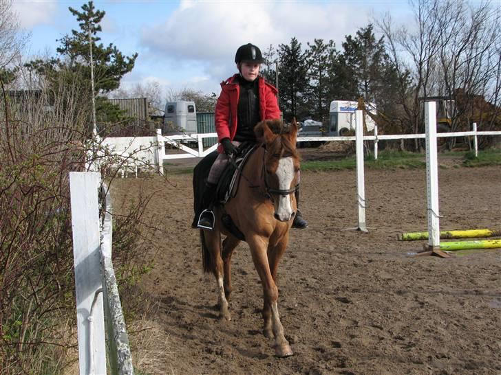 Anden særlig race Shardik *R.I.P* billede 15