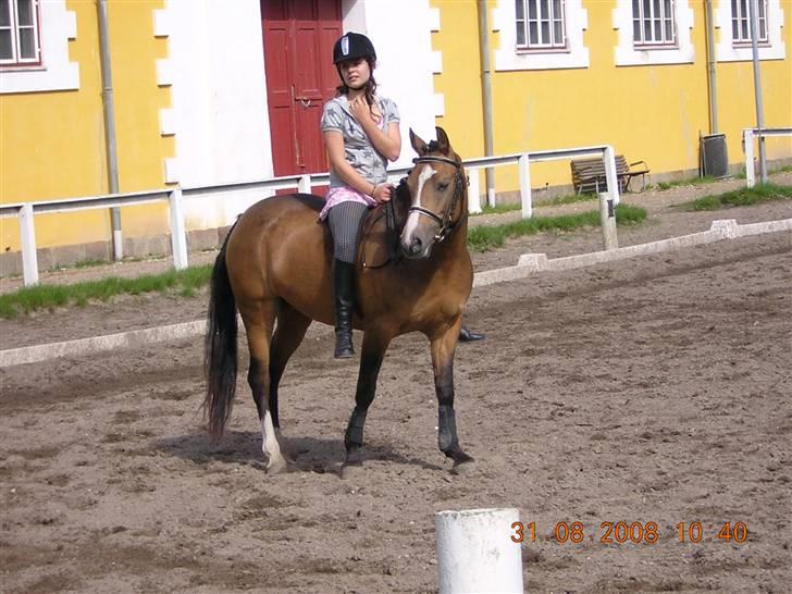 Anden særlig race Diva<3 (Gl.part) SAVNET! - 12. vi ligner hinanden? foto: Riis <3 billede 12
