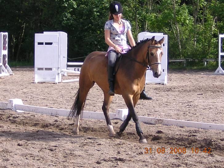 Anden særlig race Diva<3 (Gl.part) SAVNET! - 13. sååå fin du er ... foto: Riis <3 billede 13