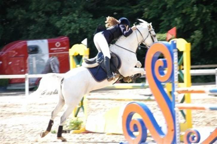 Anden særlig race Littel Cavalina - Suså 2008. DM hold 1. afd. MB+5cm. 0 fejl!<3 ILU LUNDE! billede 2