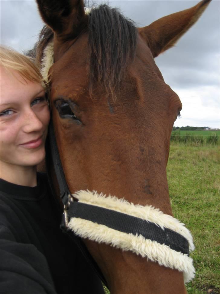 Oldenborg Rosa - Sidste dag med Mai ved min side. billede 11