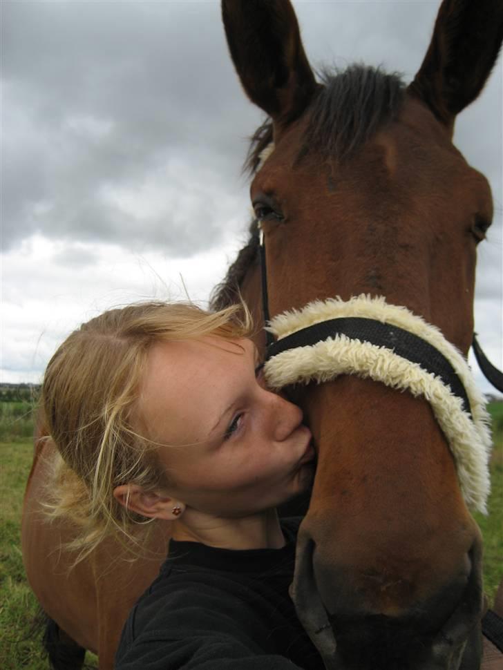 Oldenborg Rosa - BEDSTE VENINDER 4 evigt! billede 12
