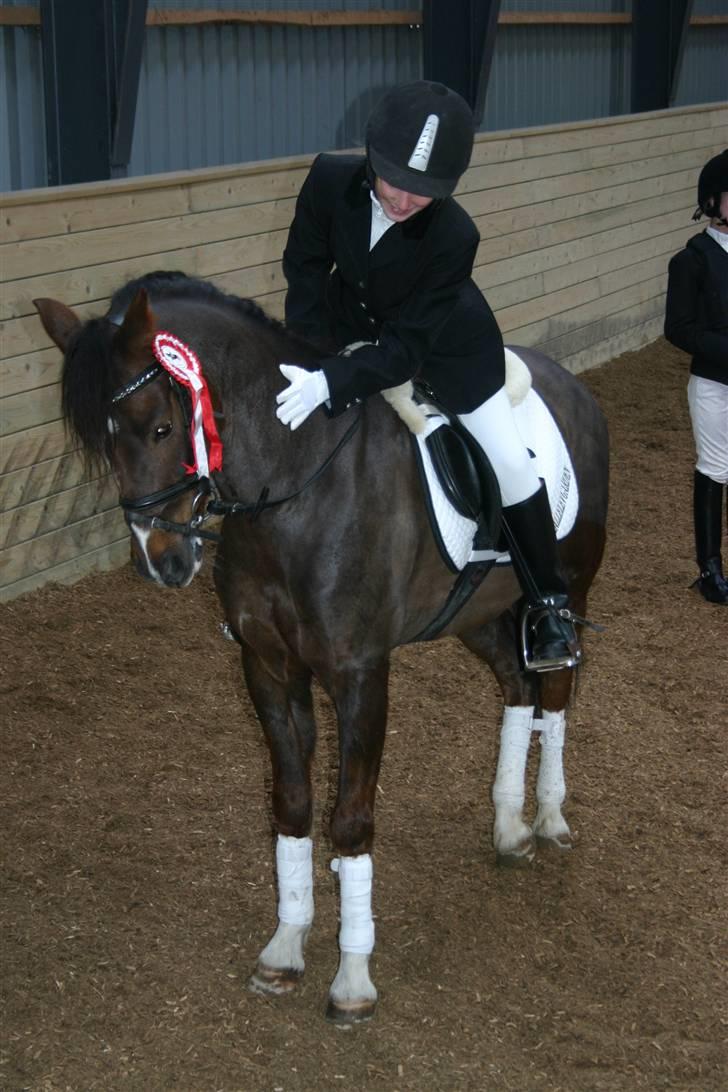 Appaloosa Bandana Joe *Byttet;/* - 1)Joey, første stævne nogensinde og så en 1. plads med hjem;* Men dressur pony? bli´r du sku aldrig;D Foto: Min mor. billede 1