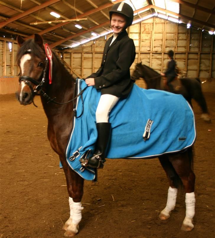 Appaloosa Bandana Joe *Byttet;/* - 2)Du trækker den ene roset efter den anden med hjem<33 Foto: Min mor. billede 2