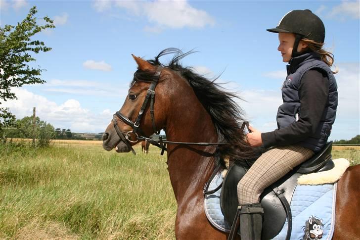Appaloosa Bandana Joe *Byttet;/* - 4)En af de første billeder vi tog af dig, du betyder alt<33 og der er faldet meget mere ro på dig skat<3 Foto: Min mor. billede 4