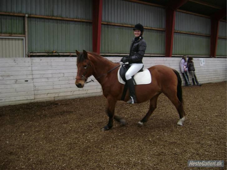 Anden særlig race Djanna - heej og velkommen til Djannas profil :p Dette er til stævne på eskagergård, d. 28/2-09, vi fik en første plads (: billede 1