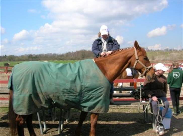 Anden særlig race Red Power *DøD* billede 7