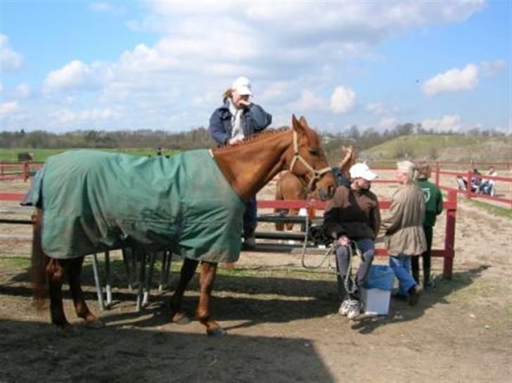 Anden særlig race Red Power *DøD* billede 8