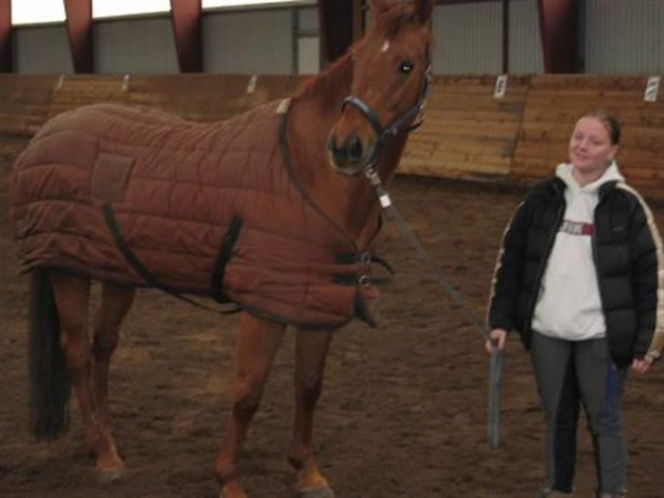 Anden særlig race Red Power *DøD* billede 9