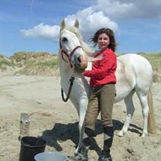 Anden særlig race Sjizzi  *solgt*