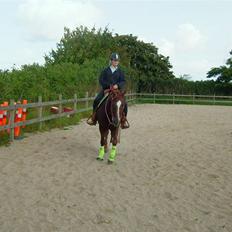 Quarter BR Genuine Sparkel 