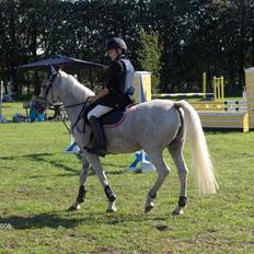 Anden særlig race Bianca B-pony SOLGT