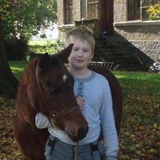 Anden særlig race Ofelia (Fie)