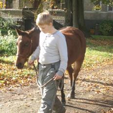 Anden særlig race Ofelia (Fie)