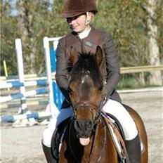 Anden særlig race Kissba