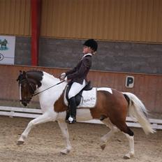 Anden særlig race Billy Boy<3  R.I.P.