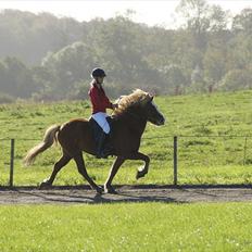 Islænder Eldir fra Gudenådalen 