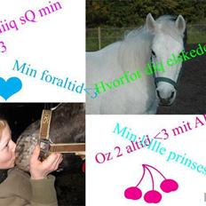 Anden særlig race »Olivia†RIP†MinDrøm*: ‹3