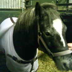 Anden særlig race tarzan 