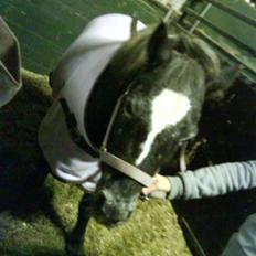 Anden særlig race tarzan 