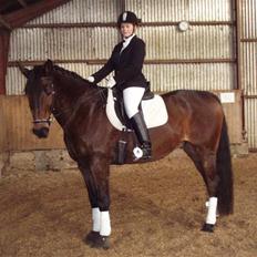 Anden særlig race Olympia (max)