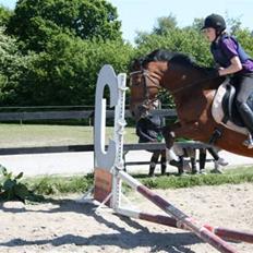 New Forest Fire Fod Joanna-solg t:-(