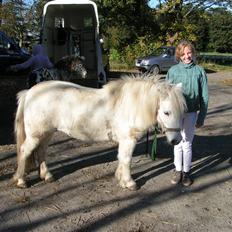 Anden særlig race aqua lene *Gamle part* R.I.P