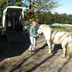 Anden særlig race aqua lene *Gamle part* R.I.P